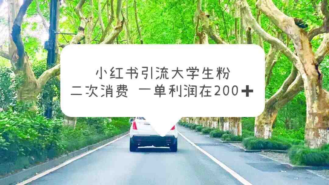 小红书引流大学生粉,变现项目,一单利润在200+(教程+资源)(“利用小红书引流大学生粉丝,实现私域变现的新策略”) 小红书引流大学生粉,变现项目,一单利润在200+(教程+资源)(“利用小红书引流大学生粉丝,实现私域变现的新策略”)