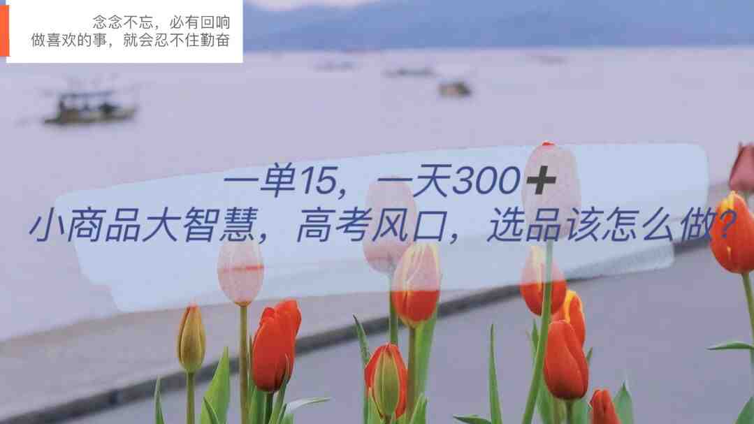一单15，一天300+，小商品大智慧，高考风口，选品该怎么布局(&#8220;高考风口下的小商品大智慧选品布局与快速变现策略&#8221;)