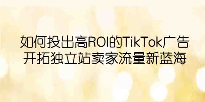 如何投出高ROI·TikTok广告，开拓独立站卖家流量新蓝海(掌握TikTok广告策略，开启独立站卖家流量新蓝海)