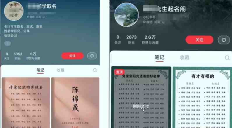 【新课】冷门暴利项目:给宝宝起名(一单200+)内附教程+工具(宝宝起名冷门暴利项目的赚钱之道) 【新课】冷门暴利项目:给宝宝起名(一单200+)内附教程+工具(宝宝起名冷门暴利项目的赚钱之道)