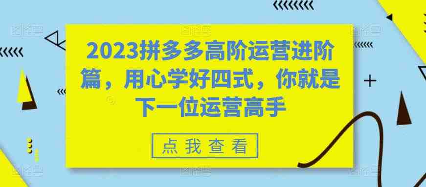 2023拼多多高阶运营进阶篇,用心学好四式,你就是下一位运营高手(探索拼多多运营之道四式教学助你快速进阶) 2023拼多多高阶运营进阶篇,用心学好四式,你就是下一位运营高手(探索拼多多运营之道四式教学助你快速进阶)