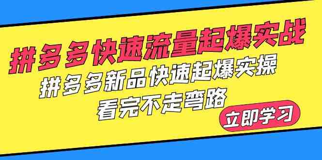 拼多多-快速流量起爆实战,拼多多新品快速起爆实操,看完不走弯路(拼多多快速流量起爆与新品推广实操指南) 拼多多-快速流量起爆实战,拼多多新品快速起爆实操,看完不走弯路(拼多多快速流量起爆与新品推广实操指南)