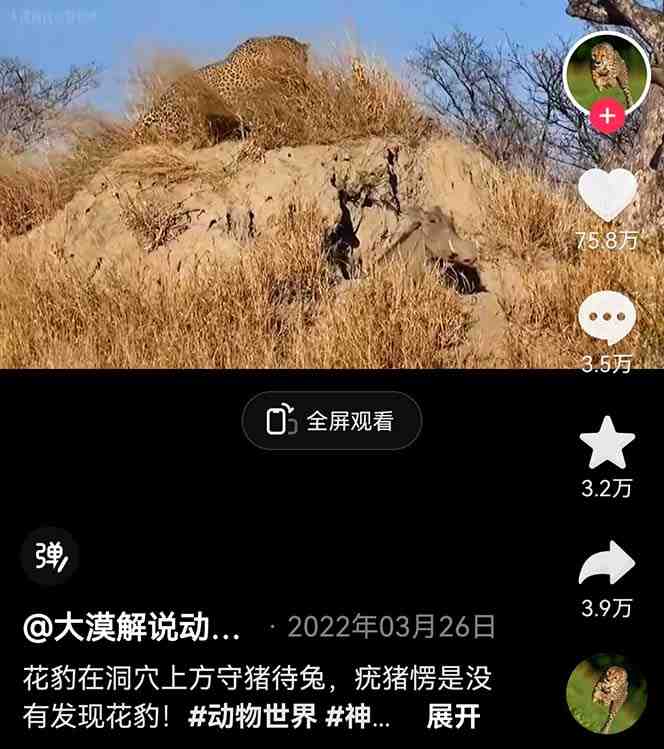 外面卖1699的国外纪录片解说（动物解说、美食、动画片）稳过中视频(全面解析国外纪录片解说制作技巧与策略)