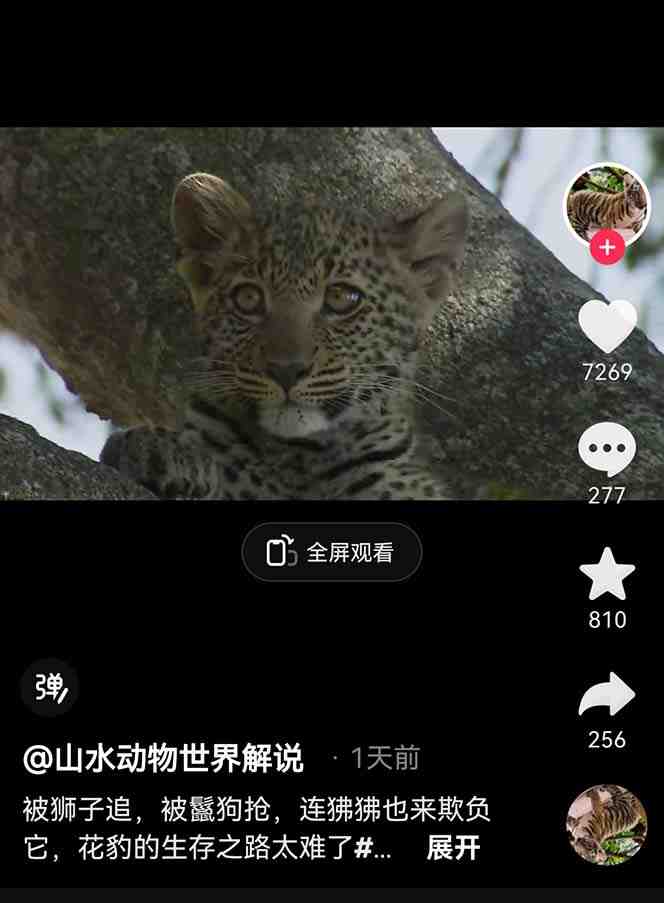 外面卖1699的国外纪录片解说(动物解说、美食、动画片)稳过中视频(全面解析国外纪录片解说制作技巧与策略) 外面卖1699的国外纪录片解说(动物解说、美食、动画片)稳过中视频(全面解析国外纪录片解说制作技巧与策略)