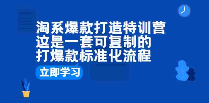 淘系爆款打造特训营：这是一套可复制的打爆款标准化流程(淘系爆款打造特训营破解商家痛点，提升爆款成功率)