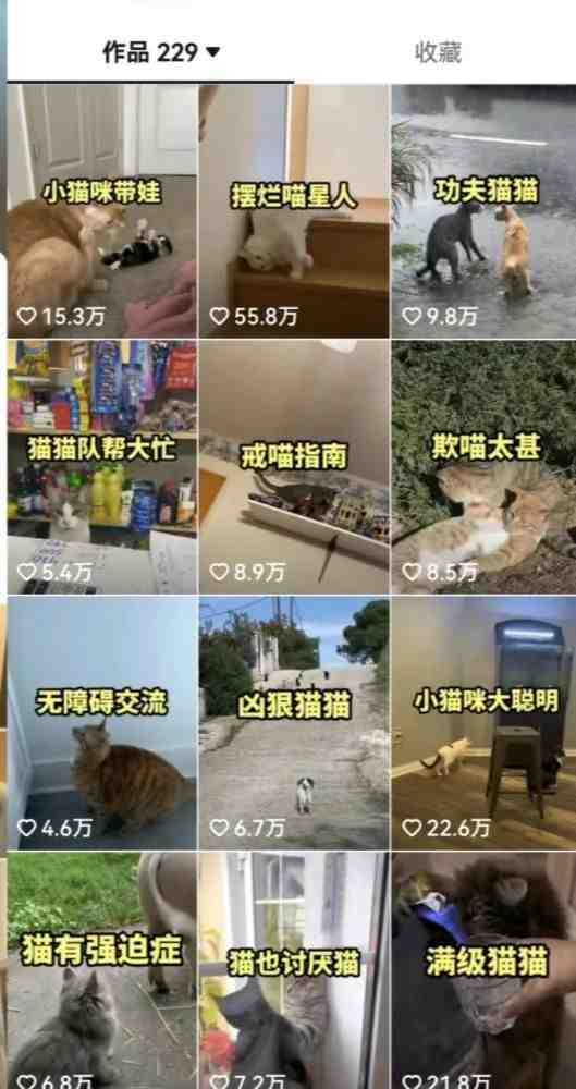 拆解:抖音盘点类中视频变现副业项目,视频版一条龙大解析分享给你(“抖音盘点类视频变现副业项目详解从搞笑到宠物,一条龙大解析分享给你”) 拆解:抖音盘点类中视频变现副业项目,视频版一条龙大解析分享给你(“抖音盘点类视频变现副业项目详解从搞笑到宠物,一条龙大解析分享给你”)