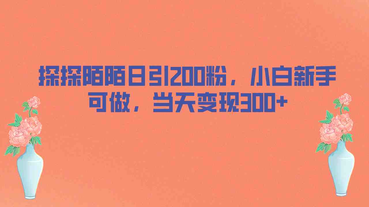 探探陌陌日引200粉，小白新手可做，当天就能变现300+(探探陌陌引流男性粉丝的快速变现策略)