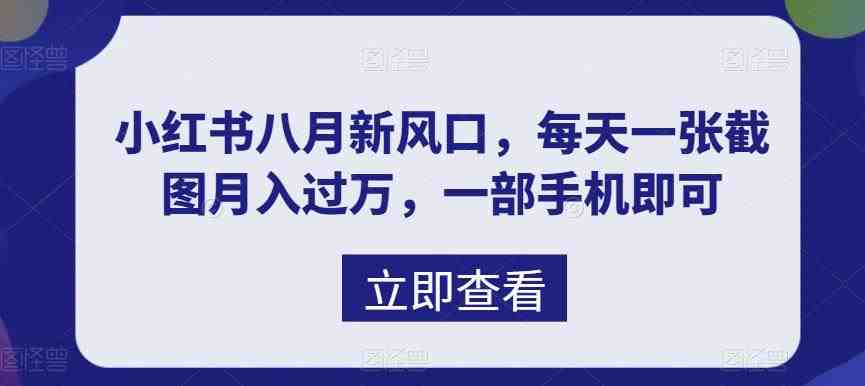 八月新风口，小红书虚拟项目一天收入1000+，实战揭秘(揭秘小红书虚拟项目如何利用信息差实现日入1000+)
