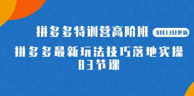 2023拼多多·特训营高阶班【9月13日更新】拼多多最新玩法技巧落地实操-83节(深入解析拼多多最新玩法技巧,实战操作指南) 2023拼多多·特训营高阶班【9月13日更新】拼多多最新玩法技巧落地实操-83节(深入解析拼多多最新玩法技巧,实战操作指南)