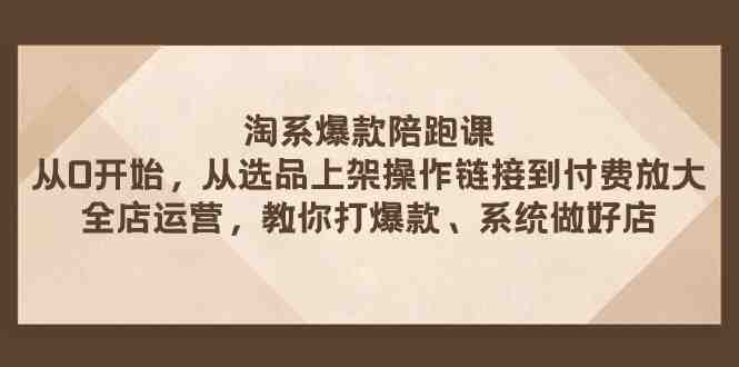 淘系爆款陪跑课 从选品上架操作链接到付费放大 全店运营 打爆款 系统做好店(淘系爆款陪跑课全方位电商运营知识学习与实践)