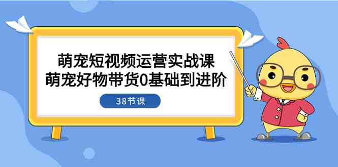 萌宠·短视频运营实战课：萌宠好物带货0基础到进阶（38节课）(全面掌握萌宠短视频运营实战技巧，从0基础到进阶)