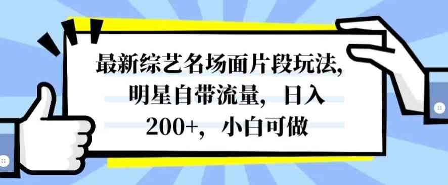最新综艺名场面片段玩法，明星自带流量，日入200+，小白可做【揭秘】(揭秘最新综艺名场面片段玩法，小白也能日入200+)
