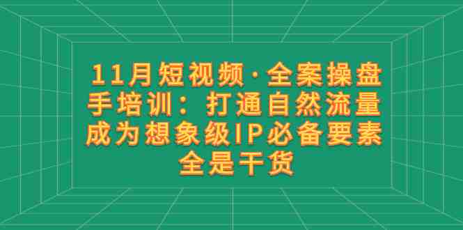 11月短视频·全案操盘手培训：打通自然流量 成为想象级IP必备要素 全是干货(全面掌握短视频全案操盘手技能从IP打造到流量变现一站式学习)