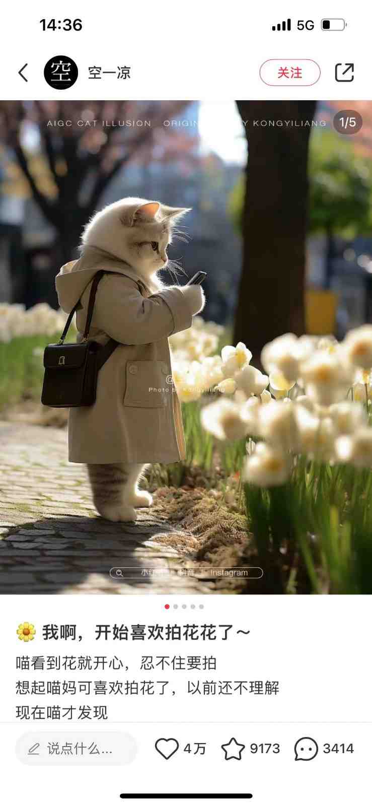 AI猫咪穿搭保姆级教程,起号容易,变现途径多(AI猫咪穿搭教程轻松制作,多途径变现) AI猫咪穿搭保姆级教程,起号容易,变现途径多(AI猫咪穿搭教程轻松制作,多途径变现)