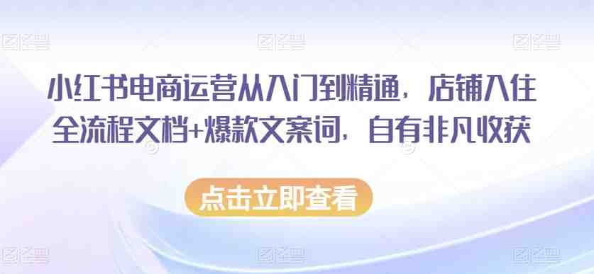 小红书电商运营从入门到精通,店铺入住全流程文档+爆款文案词,自有非凡收获(全面解析小红书电商运营从开店到精通的一站式教程) 小红书电商运营从入门到精通,店铺入住全流程文档+爆款文案词,自有非凡收获(全面解析小红书电商运营从开店到精通的一站式教程)