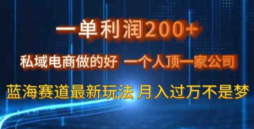 一单利润200私域电商做的好,一个人顶一家公司蓝海赛道最新玩法【揭秘】 一单利润200私域电商做的好,一个人顶一家公司蓝海赛道最新玩法【揭秘】