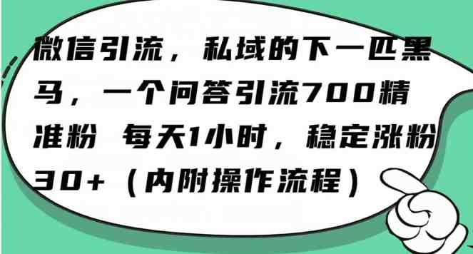 怎么搞精准创业粉?微信新赛道,每天一小时,利用Ai一个问答日引100精准粉 怎么搞精准创业粉?微信新赛道,每天一小时,利用Ai一个问答日引100精准粉