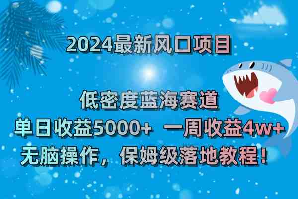 2024最新风口项目 低密度蓝海赛道，日收益5000+周收益4w+ 无脑操作，保&#8230;