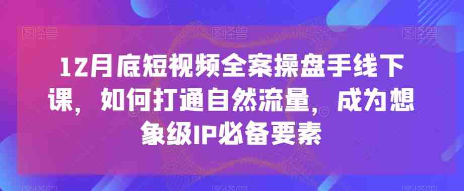 12月底短视频全案操盘手线下课，如何打通自然流量，成为想象级IP必备要素