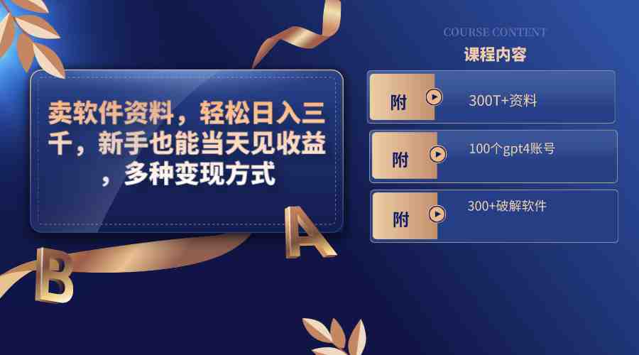卖软件资料，轻松日入三千，新手也能当天见收益，多种变现方式，（附300&#8230;