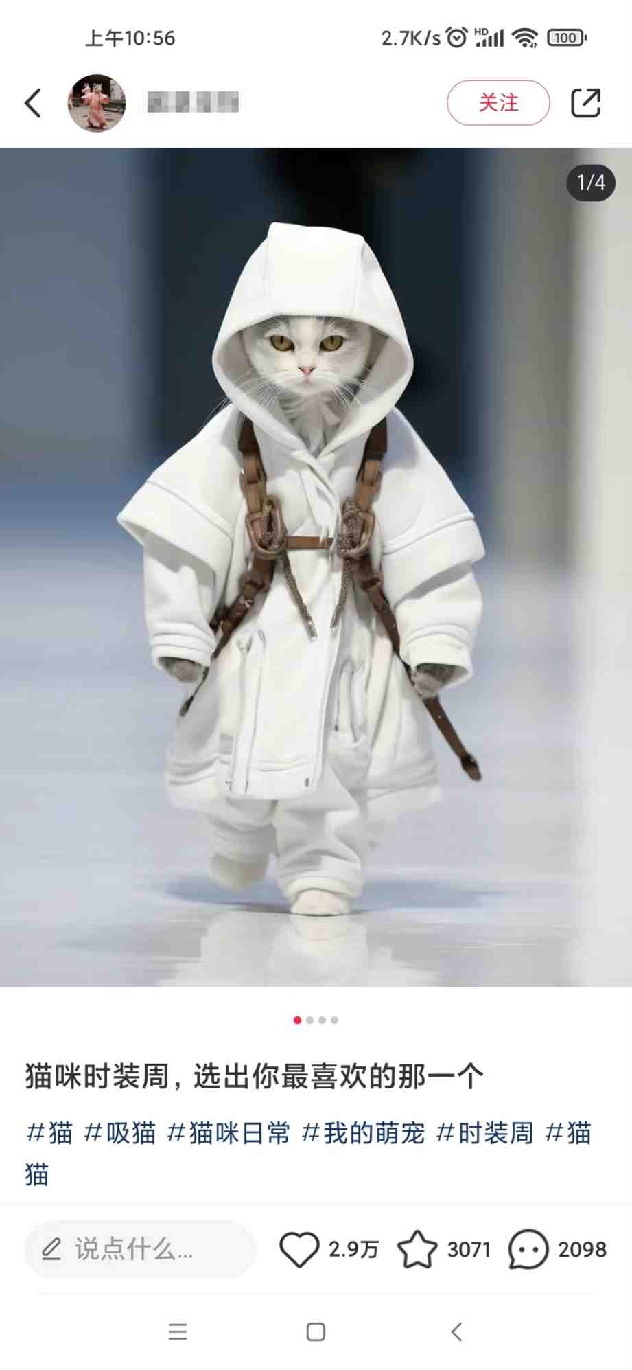 适合小白 宝妈 上班族 大学生互联网兼职 小红书爆款项目Animal秀,月入1W 适合小白 宝妈 上班族 大学生互联网兼职 小红书爆款项目Animal秀,月入1W