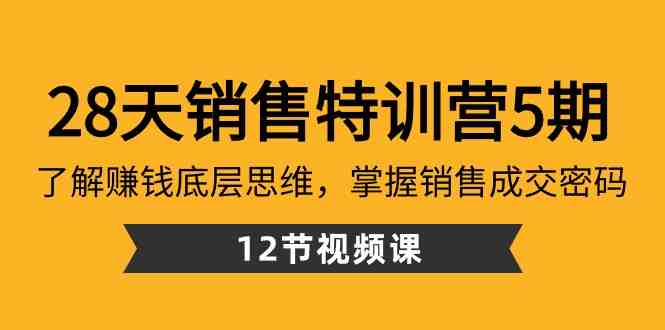 28天销售特训营5期：了解赚钱底层思维，掌握销售成交密码（12节课）