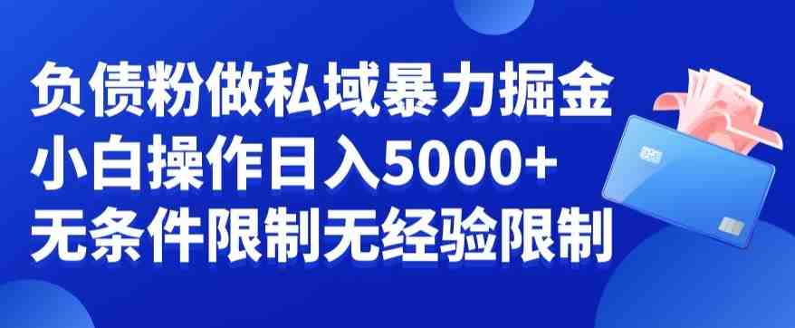 负债粉私域暴力掘金,小白操作入5000,无经验限制,无条件限制 负债粉私域暴力掘金,小白操作入5000,无经验限制,无条件限制