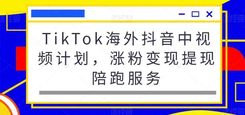 TikTok海外抖音中视频计划，涨粉变现提现陪跑服务(全面掌握TikTok海外抖音中视频计划，助您轻松涨粉变现)