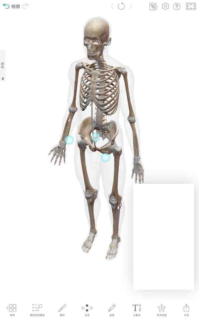 Atlas v2023.04.011 解锁版 (人体解剖学图谱模型) Atlas v2023.04.011 解锁版 (人体解剖学图谱模型)