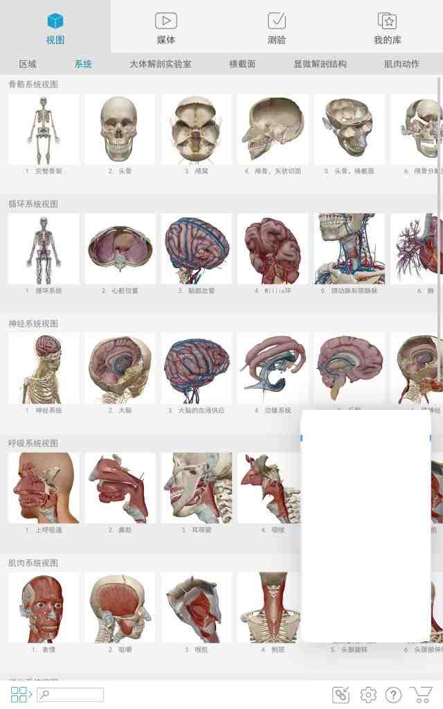 Atlas v2023.04.011 解锁版 (人体解剖学图谱模型) Atlas v2023.04.011 解锁版 (人体解剖学图谱模型)