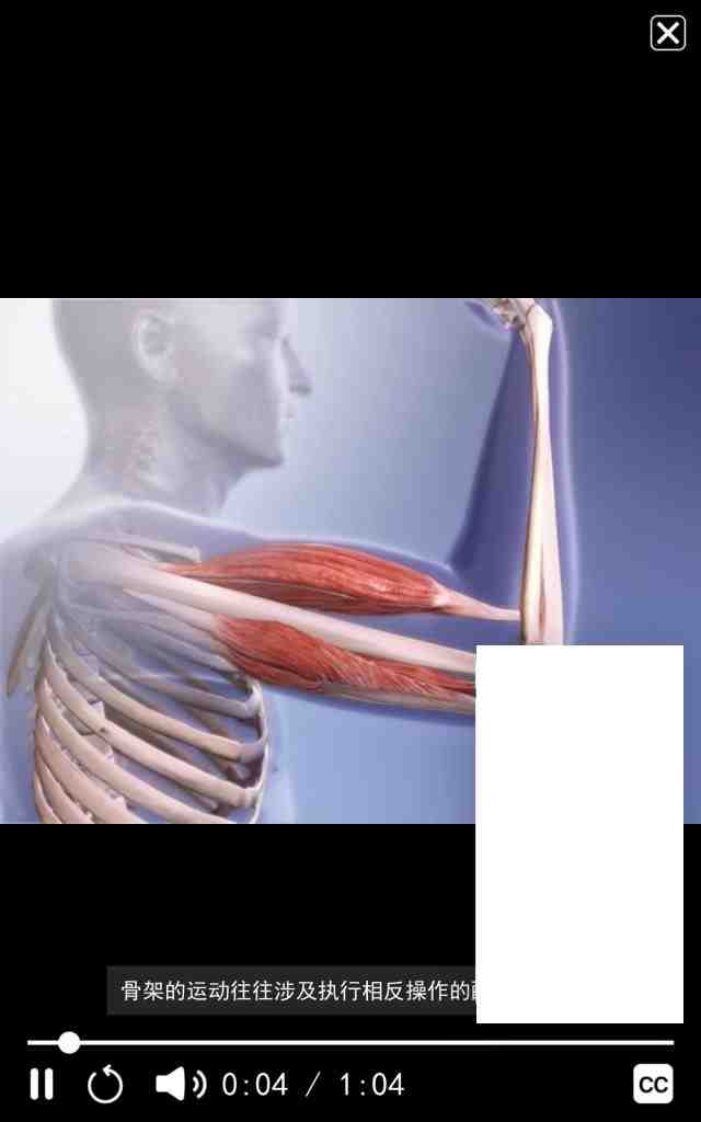 Atlas v2023.04.011 解锁版 (人体解剖学图谱模型) Atlas v2023.04.011 解锁版 (人体解剖学图谱模型)