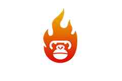 新大师兄影视 v3.3.3 修改版 （安卓热门影视聚合应用）