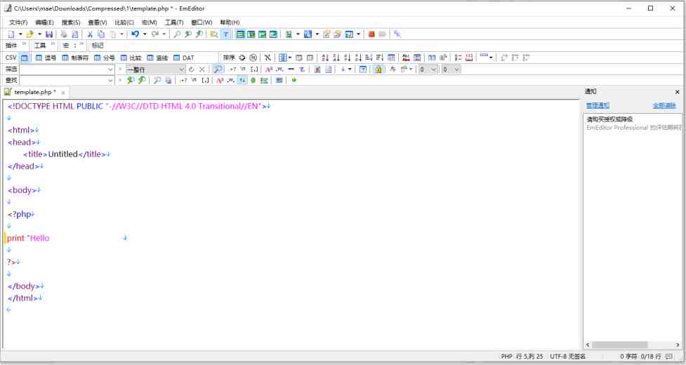 EmEditor v23.0.5 激活版（号称世界上最快的文本编辑器）