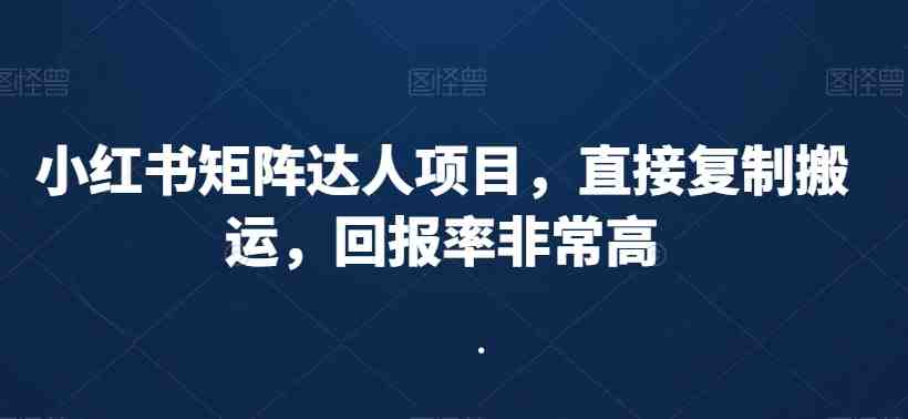 小红书矩阵达人项目,直接复制搬运,回报率非常高 小红书矩阵达人项目,直接复制搬运,回报率非常高