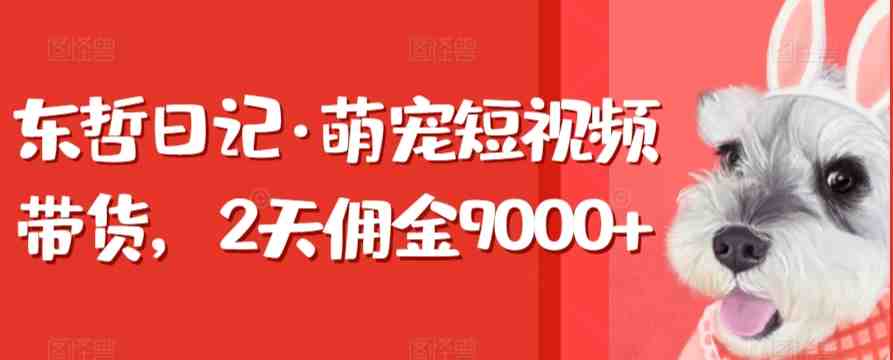 东哲日记·萌宠短视频带货,2天佣金9000+ 东哲日记·萌宠短视频带货,2天佣金9000+