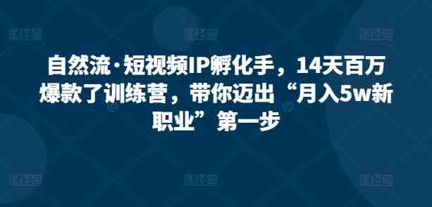 自然流·短视频IP孵化手,14天百万爆款了训练营,带你迈出“月入5w新职业”第一步 自然流·短视频IP孵化手,14天百万爆款了训练营,带你迈出“月入5w新职业”第一步
