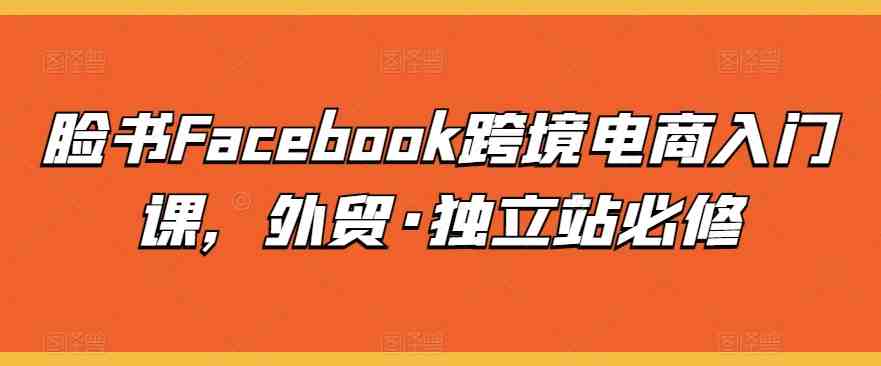 脸书Facebook跨境电商入门课,外贸·独立站必修 脸书Facebook跨境电商入门课,外贸·独立站必修