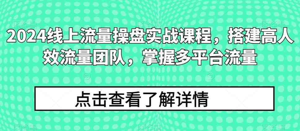 2024线上流量操盘实战课程,搭建高人效流量团队,掌握多平台流量 2024线上流量操盘实战课程,搭建高人效流量团队,掌握多平台流量