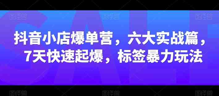 抖音小店爆单营,六大实战篇,7天快速起爆,标签暴力玩法 抖音小店爆单营,六大实战篇,7天快速起爆,标签暴力玩法