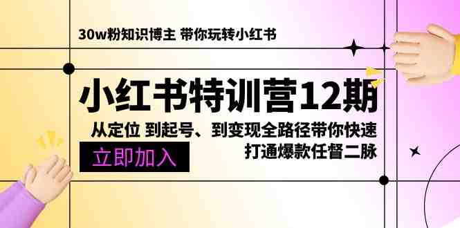 小红书特训营12期:从定位 到起号、到变现全路径带你快速打通爆款任督二脉 小红书特训营12期:从定位 到起号、到变现全路径带你快速打通爆款任督二脉