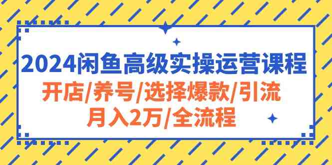 2024闲鱼高级实操运营课程:开店/养号/选择爆款/引流/月入2万/全流程 2024闲鱼高级实操运营课程:开店/养号/选择爆款/引流/月入2万/全流程