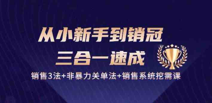 从小新手到销冠 三合一速成:销售3法+非暴力关单法+销售系统挖需课 (27节) 从小新手到销冠 三合一速成:销售3法+非暴力关单法+销售系统挖需课 (27节)