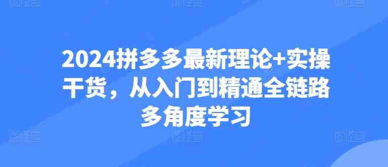 2024拼多多最新理论+实操干货,从入门到精通全链路多角度学习 2024拼多多最新理论+实操干货,从入门到精通全链路多角度学习