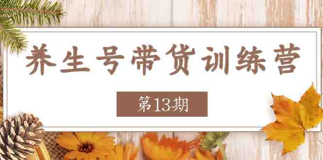 养生号带货训练营【第13期】收益更稳定的玩法,让你带货收益爆炸 养生号带货训练营【第13期】收益更稳定的玩法,让你带货收益爆炸