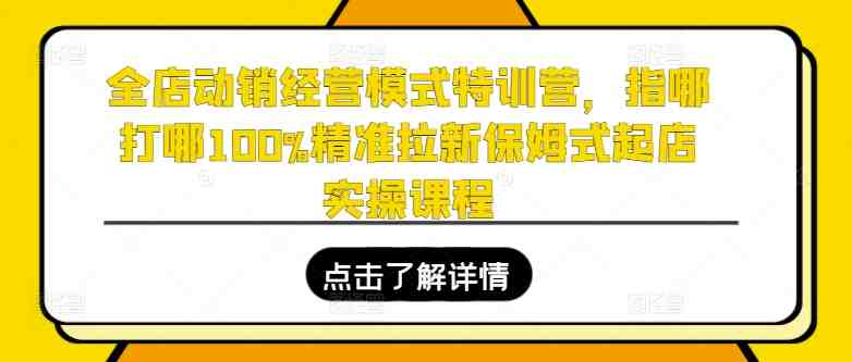 全店动销经营模式特训营,指哪打哪100%精准拉新保姆式起店实操课程 全店动销经营模式特训营,指哪打哪100%精准拉新保姆式起店实操课程