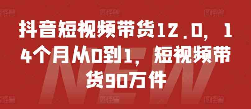 抖音短视频带货12.0,14个月从0到1,短视频带货90万件 抖音短视频带货12.0,14个月从0到1,短视频带货90万件