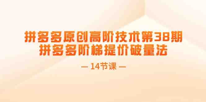 拼多多原创高阶技术第38期,拼多多阶梯提价破量法(14节课) 拼多多原创高阶技术第38期,拼多多阶梯提价破量法(14节课)
