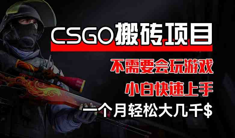 CSGO 装备搬砖项目,操作简单,不需要会玩游戏,小白也能快速上手,一个月轻松大几千 CSGO 装备搬砖项目,操作简单,不需要会玩游戏,小白也能快速上手,一个月轻松大几千