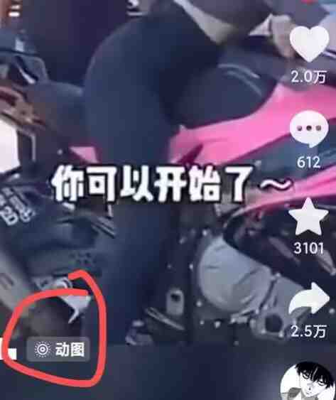 2024年7月苹果手机动图搬运技术 2024年7月苹果手机动图搬运技术