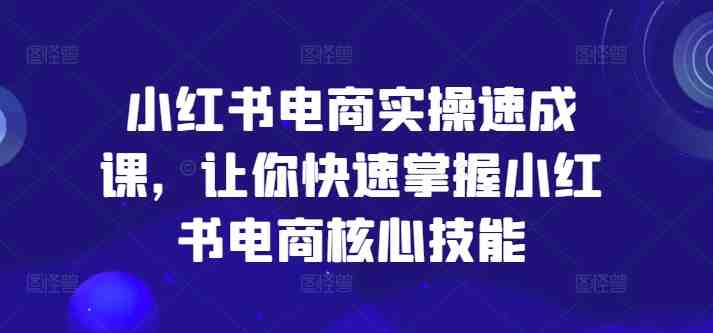 小红书电商实操速成课,让你快速掌握小红书电商核心技能 小红书电商实操速成课,让你快速掌握小红书电商核心技能